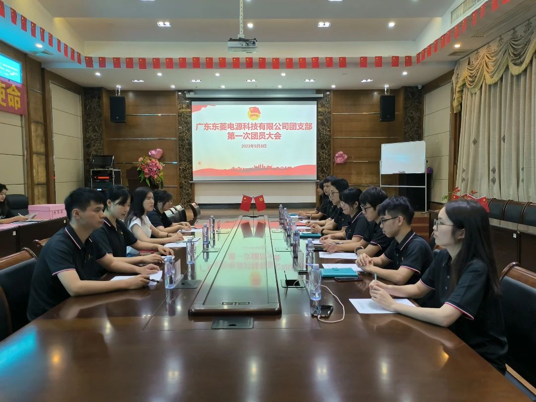 青春闪耀 奋力启航 ——东菱电源团支部成立大会