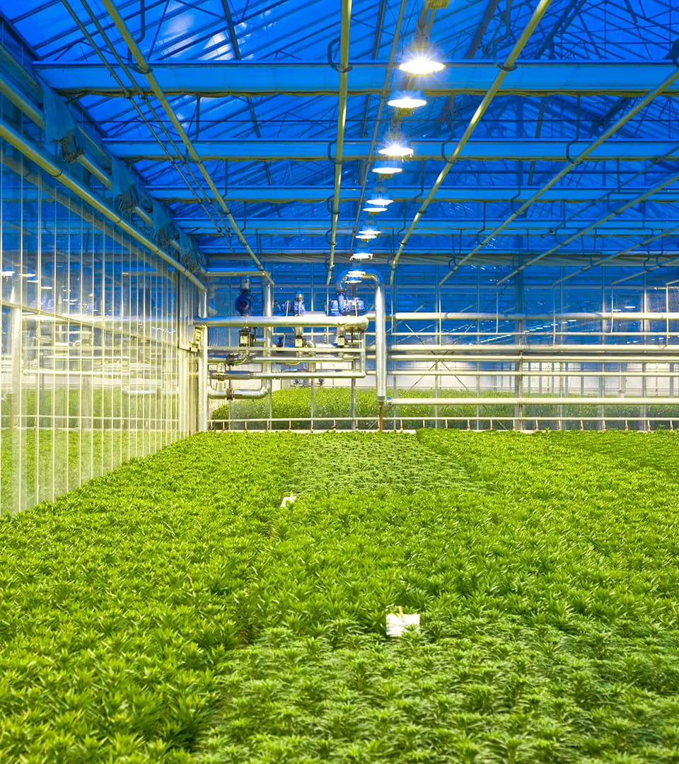 植物照明电源